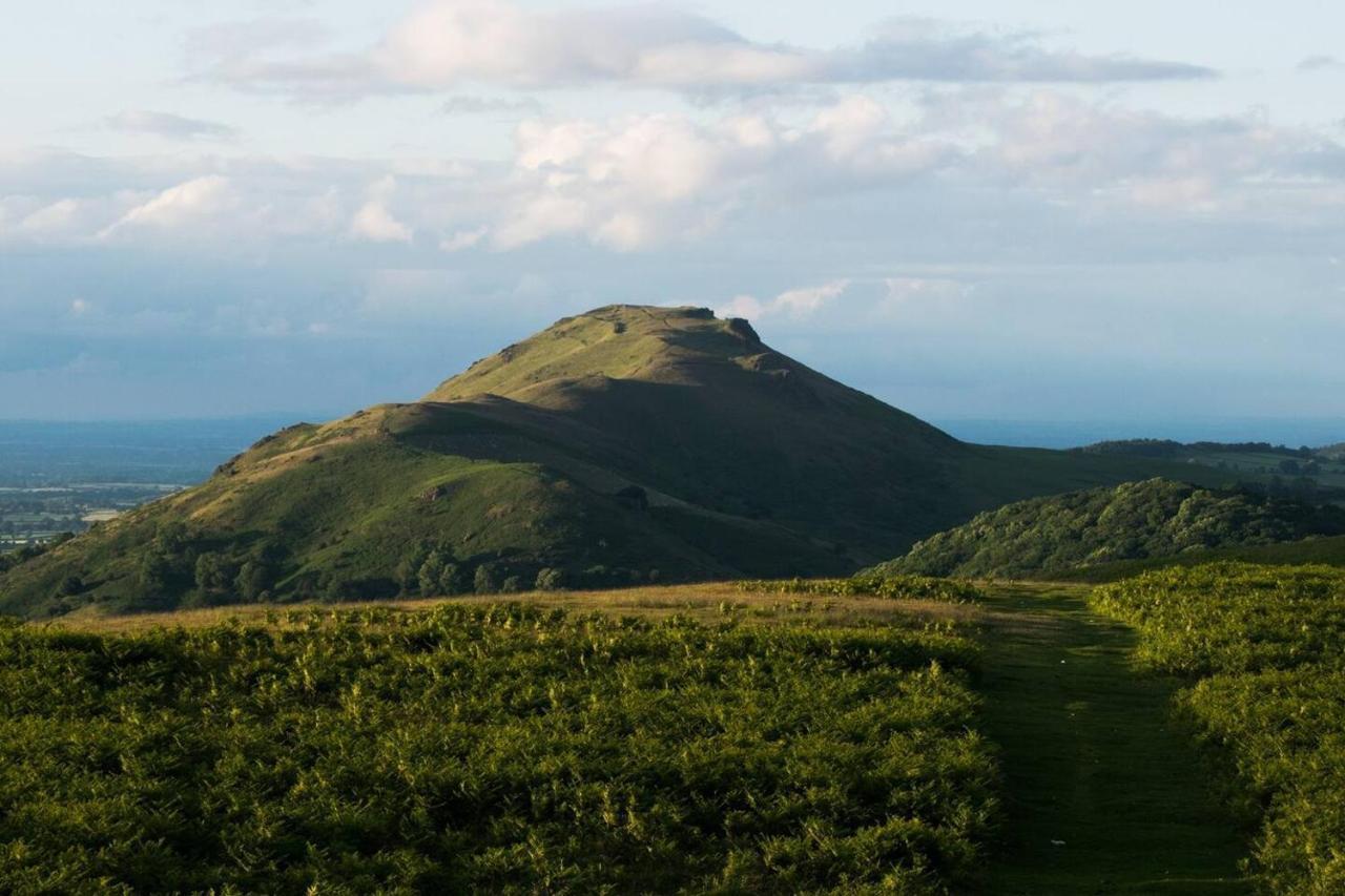 Nest Holiday Hideaway Wren Cottage Stunning Area! Church Stretton Εξωτερικό φωτογραφία